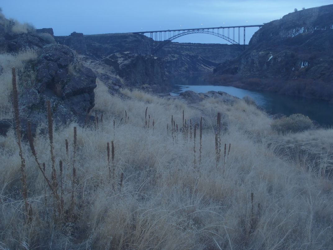 Perrine Bridge